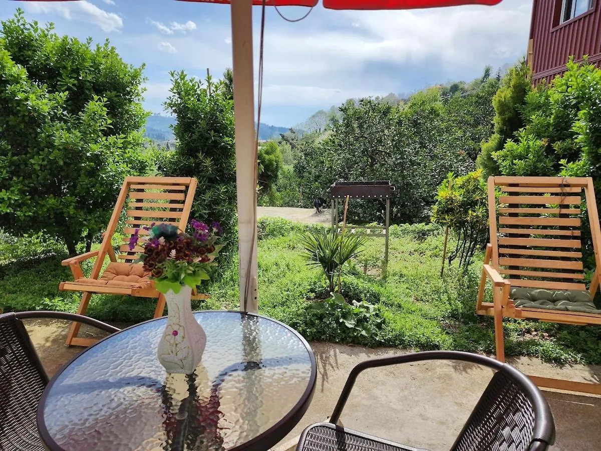 Nugzar House Chakvi - 2 Bedrooms