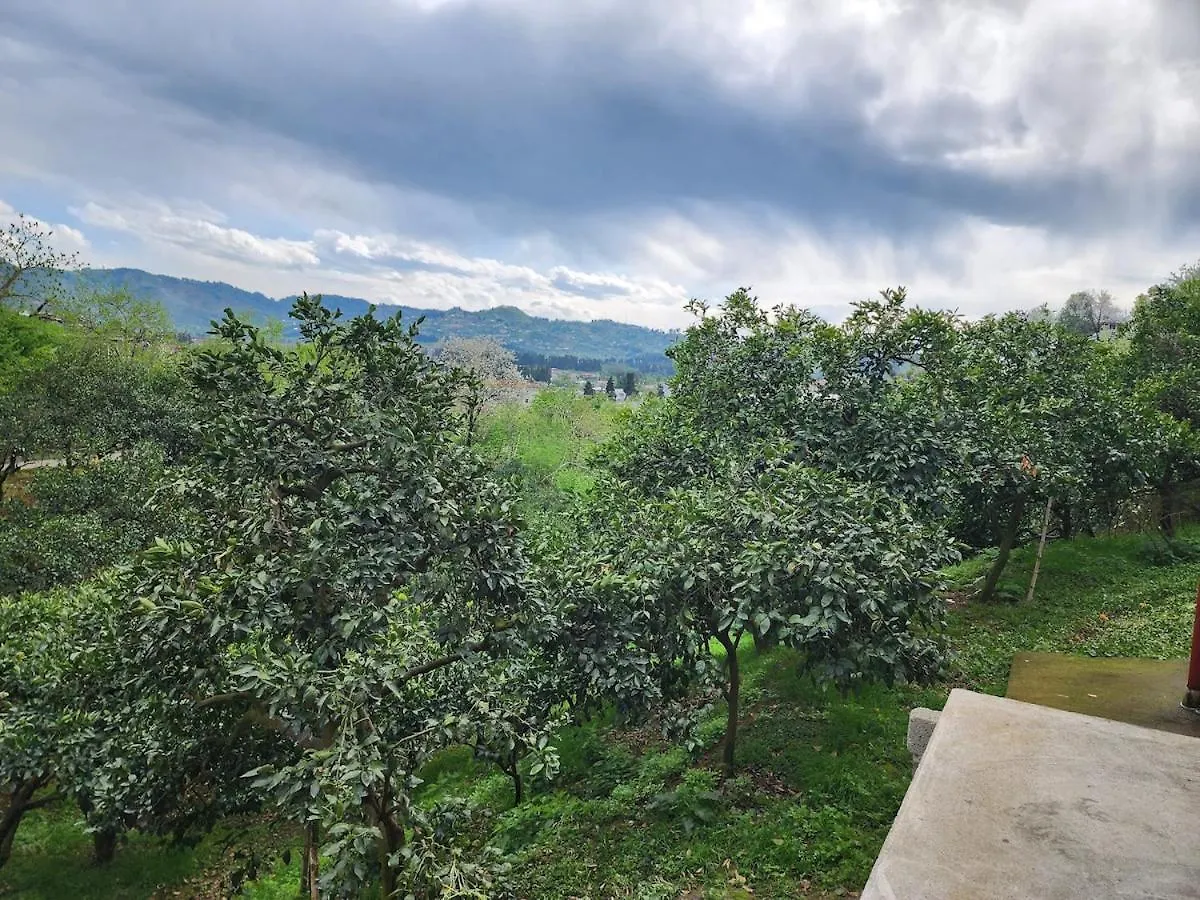 Nugzar House Chakvi - 2 Bedrooms Holiday home