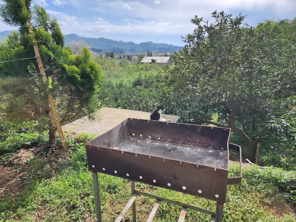Nugzar House Chakvi - 2 Bedrooms 0*,  Georgia