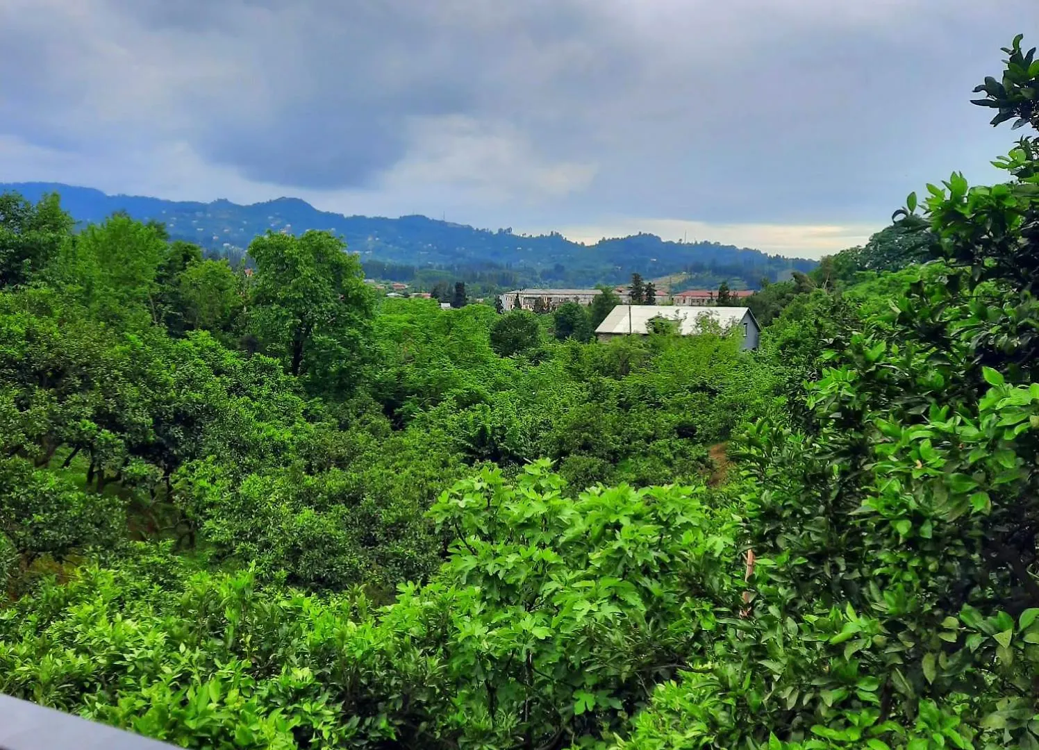 Nugzar House Chakvi - 2 Bedrooms 0*,  Georgia