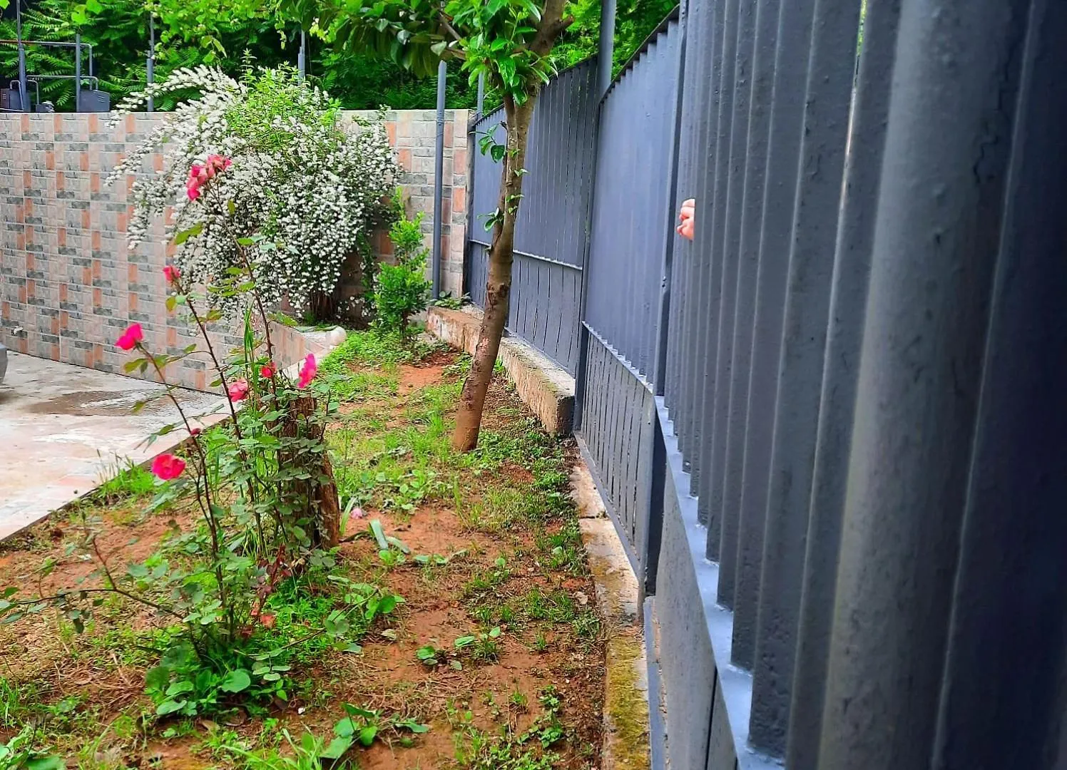Nugzar House Chakvi - 2 Bedrooms 0*,  Georgia
