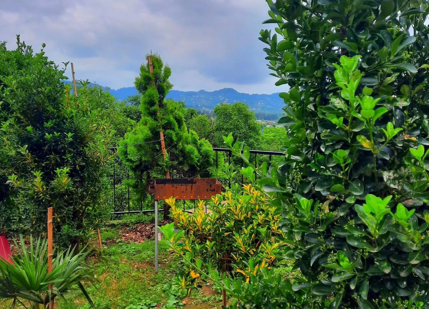 Holiday home Nugzar House Chakvi - 2 Bedrooms