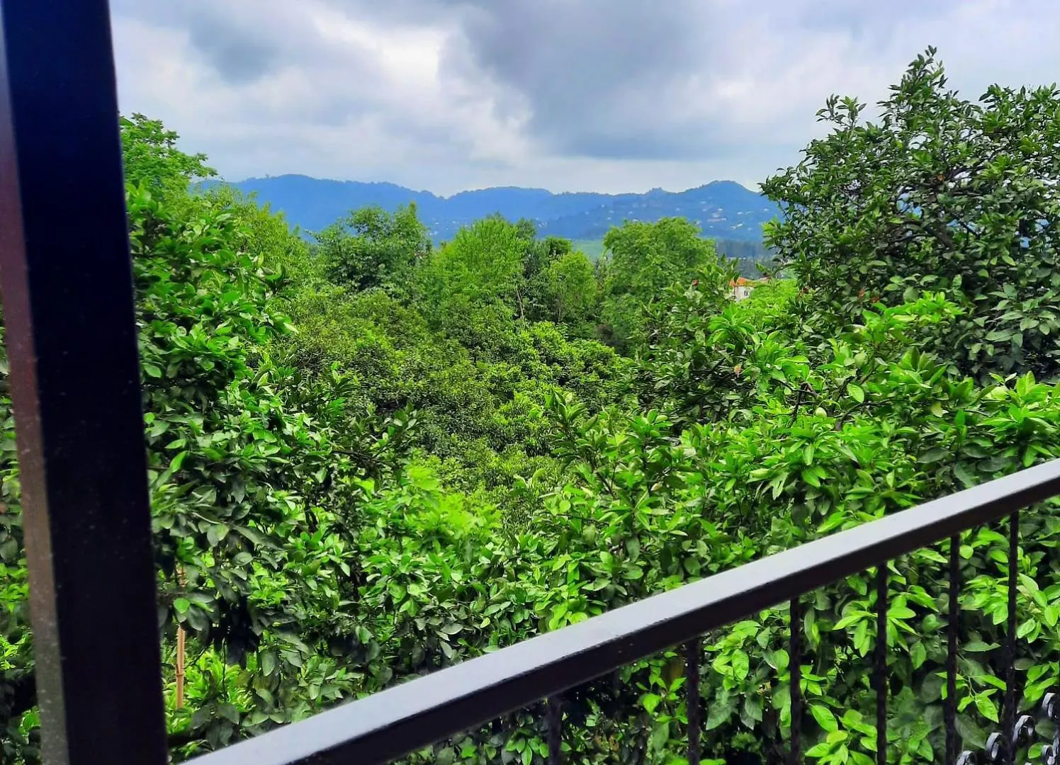 Nugzar House Chakvi - 2 Bedrooms Holiday home