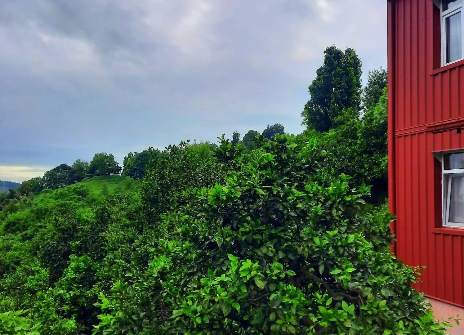 Holiday home Nugzar House Chakvi - 2 Bedrooms